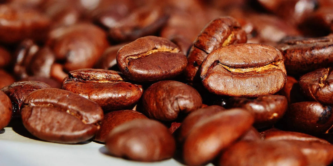 Você sabe o que é café arábica?