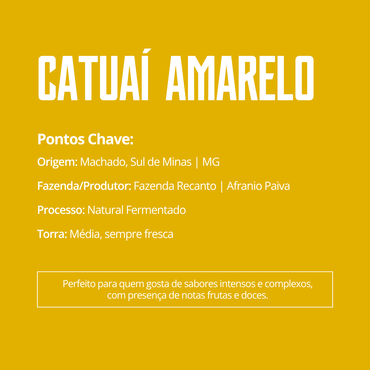 Café Especial Catuaí Amarelo | Fazenda Recanto