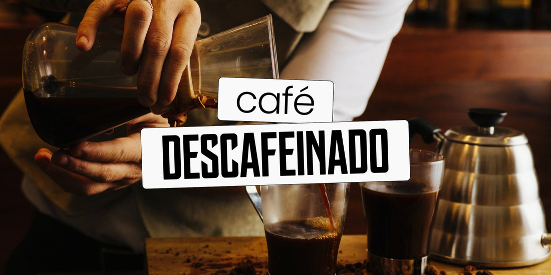 Café descafeinado servido em xícara com grãos ao redor — guia completo sobre o que é, como é feito e benefícios