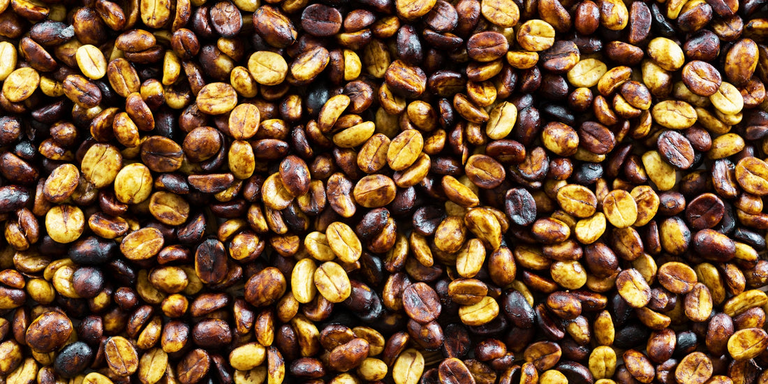 Como escolher café em grão? Veja dicas e moagem ideal