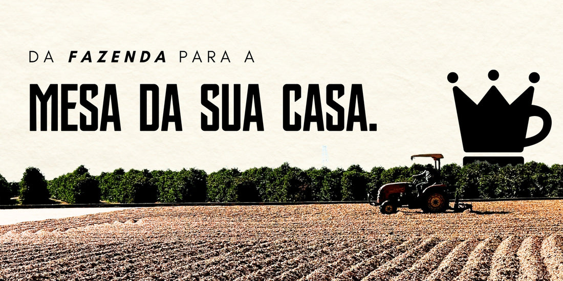 Da Fazenda Para a Mesa da Sua Casa: o Compromisso do Rei do Café com Cada Grão