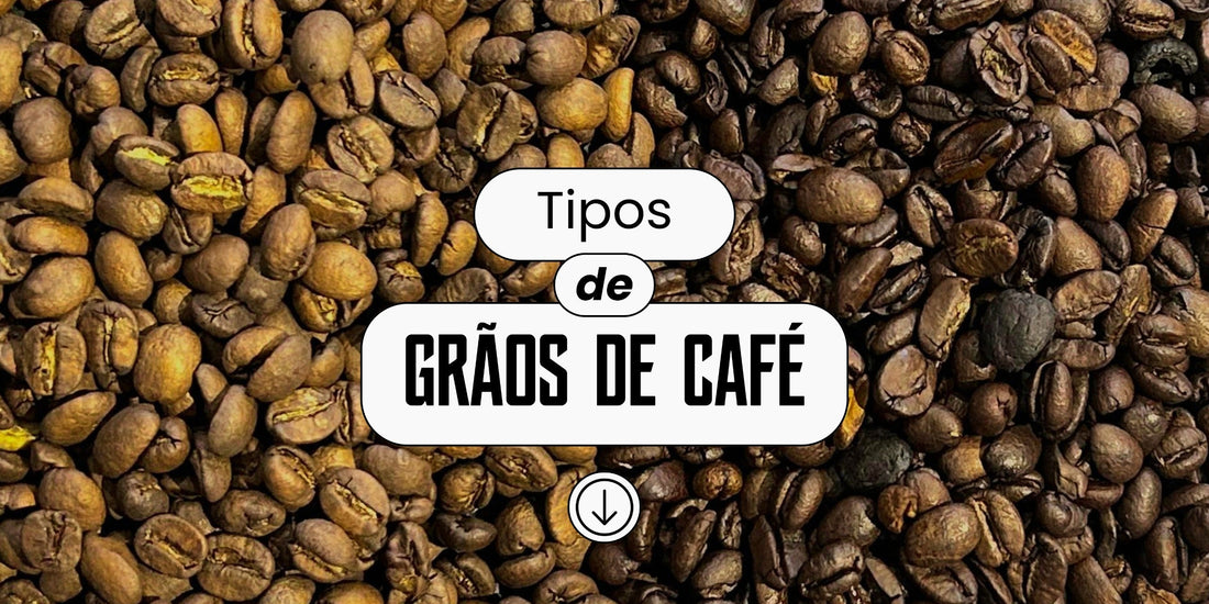 Tipos de grãos de café: confira características e como identificar