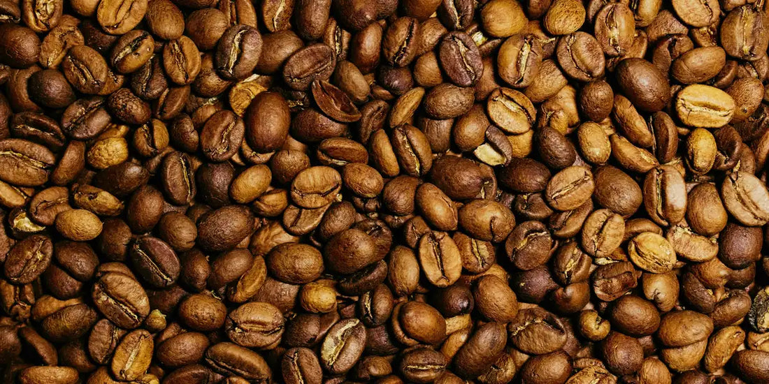 Grãos de café arábica torrados vistos de cima, prontos para escolha e armazenamento