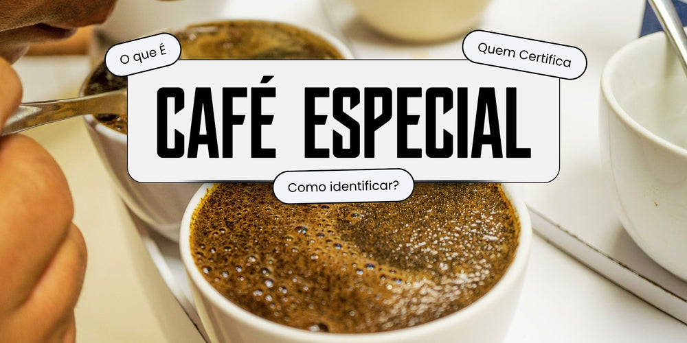 Sessão de cupping com xícaras de café especial e texto sobre o que é, quem certifica e como identificar