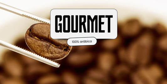 Grão de café gourmet 100% arábica selecionado com pinça, destacando a qualidade da seleção