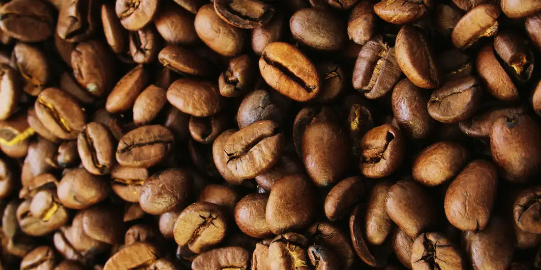 Grãos de café Mundo Novo torrados em torra média, close com textura