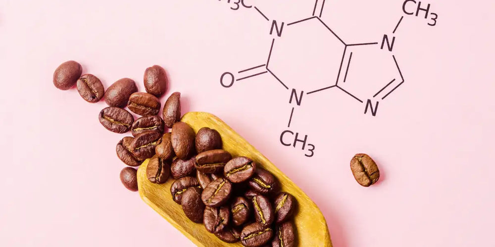 Xícara de café ao lado de grãos torrados em ambiente quente