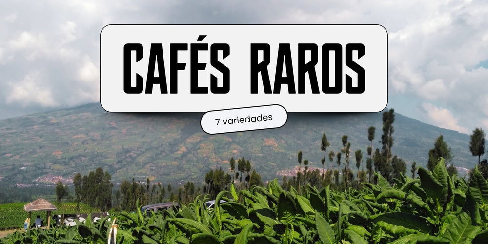 Plantação de café em região montanhosa com o texto Cafés Raros, 7 variedades
