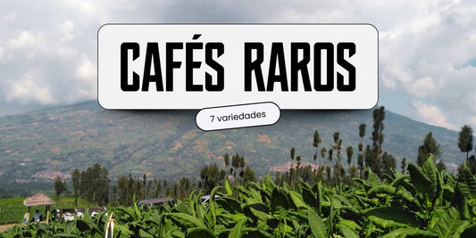 Plantação de café em região montanhosa com o texto Cafés Raros, 7 variedades