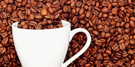 Qual É a Caneca Ideal para Café? Guia Completo de Escolha