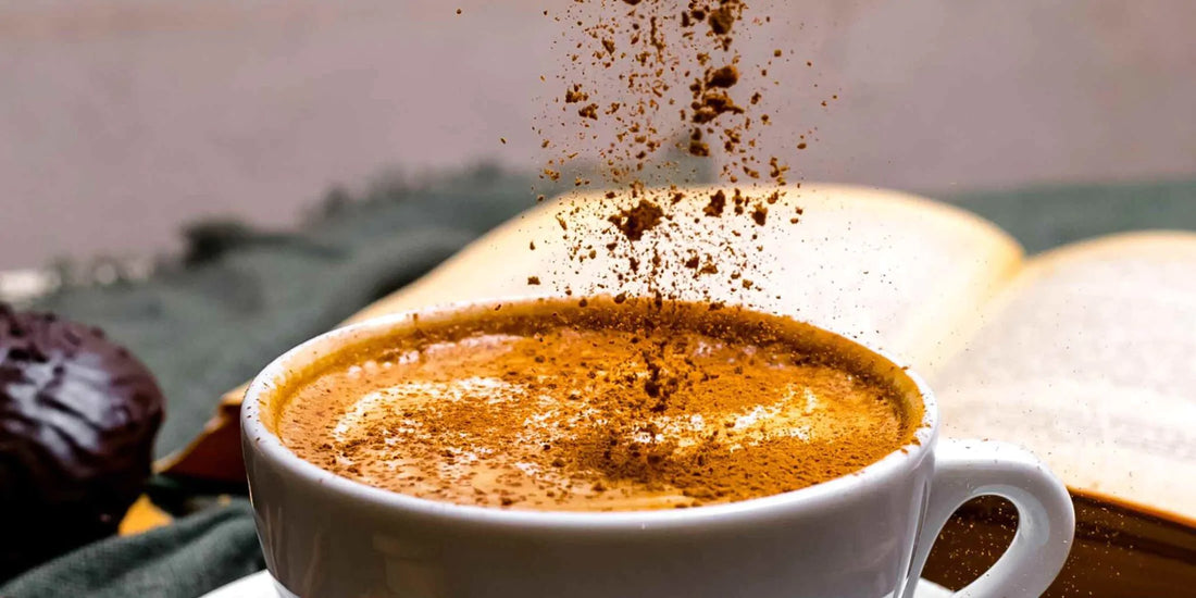 Diferença entre café especial, gourmet e tradicional
