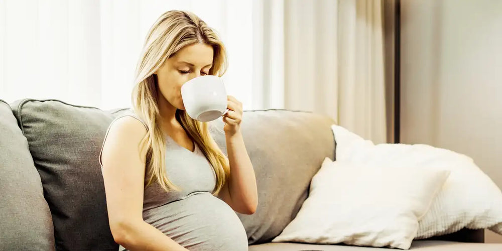 Gestante sentada no sofá tomando uma xícara de café em ambiente tranquilo