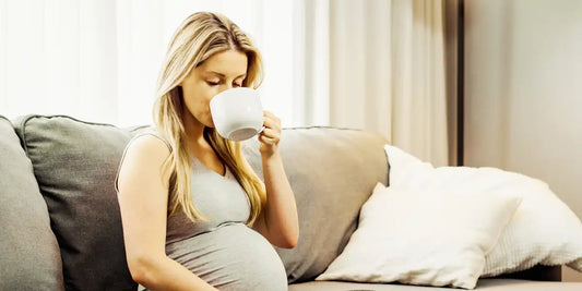 Gestante sentada no sofá tomando uma xícara de café em ambiente tranquilo