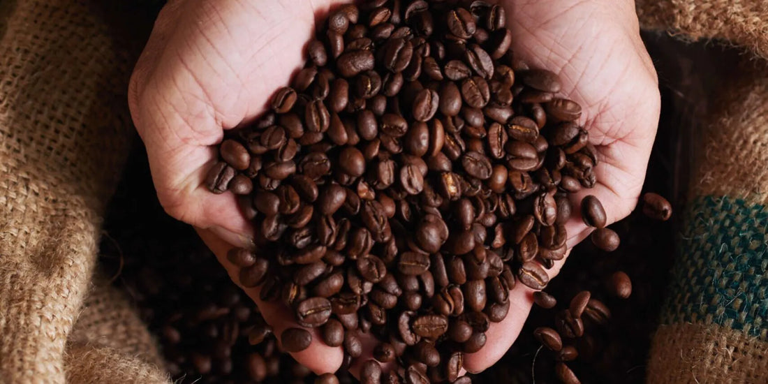 A jornada do café, do produtor ao consumidor
