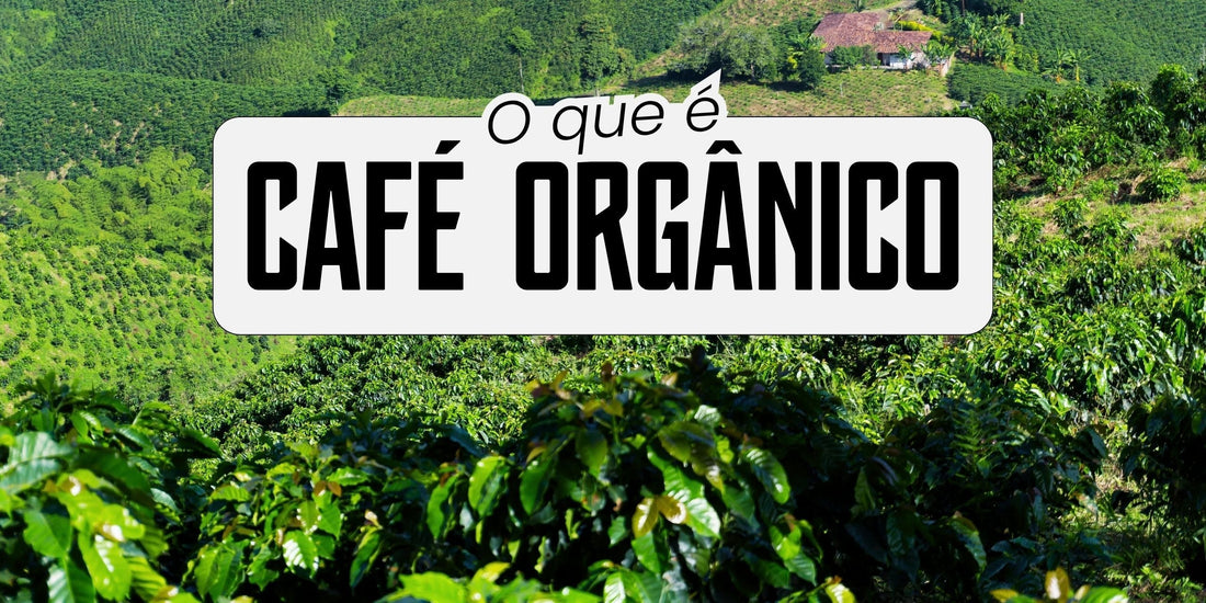 Plantação de café orgânico em área verde com texto “o que é café orgânico”