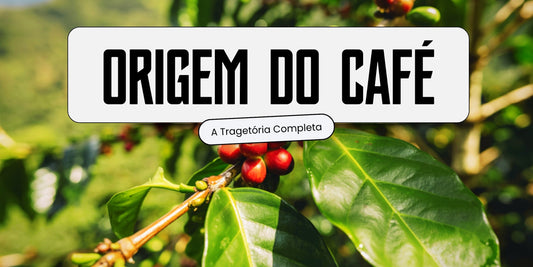 Cerejas de café maduras em tons de vermelho no galho de um cafeeiro, com folhas verdes e paisagem montanhosa ao fundo