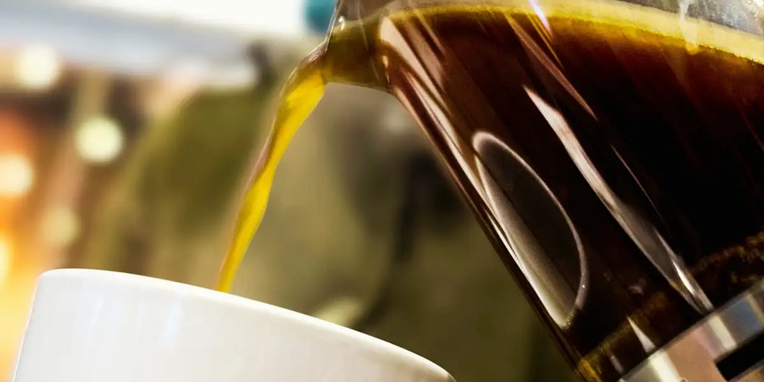 Café sendo servido de prensa francesa em xícara branca num fluxo contínuo, com luz suave ao fundo