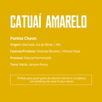Café Especial Catuaí Amarelo | Fazenda Recanto
