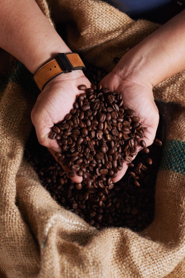 imagem de uma mão segurando diversos grãos de café e embaixo uma saca de café cor bege