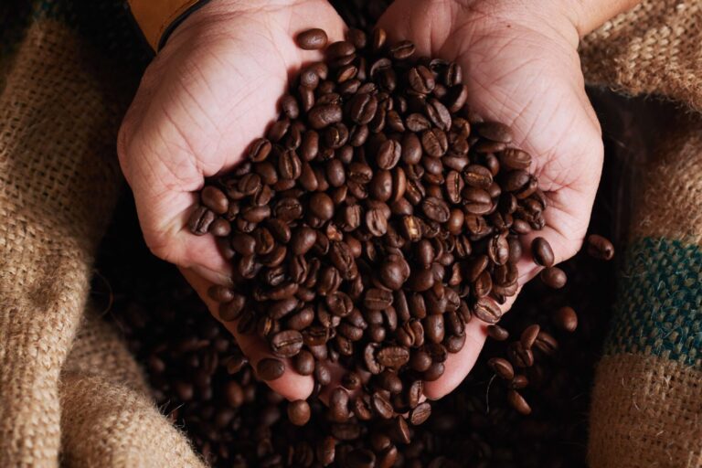 imagem de uma mão segurando diversos grãos de café e embaixo uma saca de café cor bege