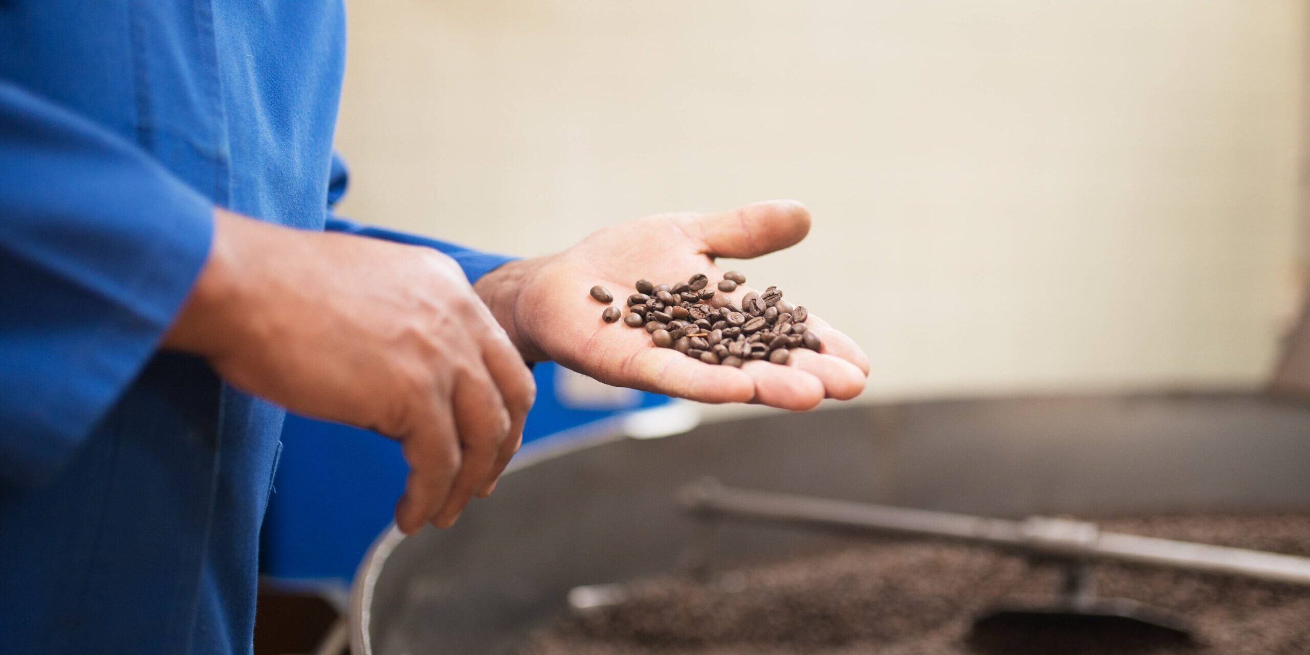 fermentação em cafés especiais