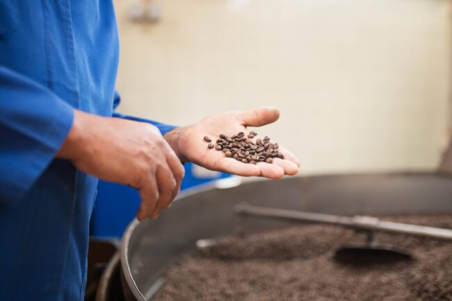 fermentação em cafés especiais